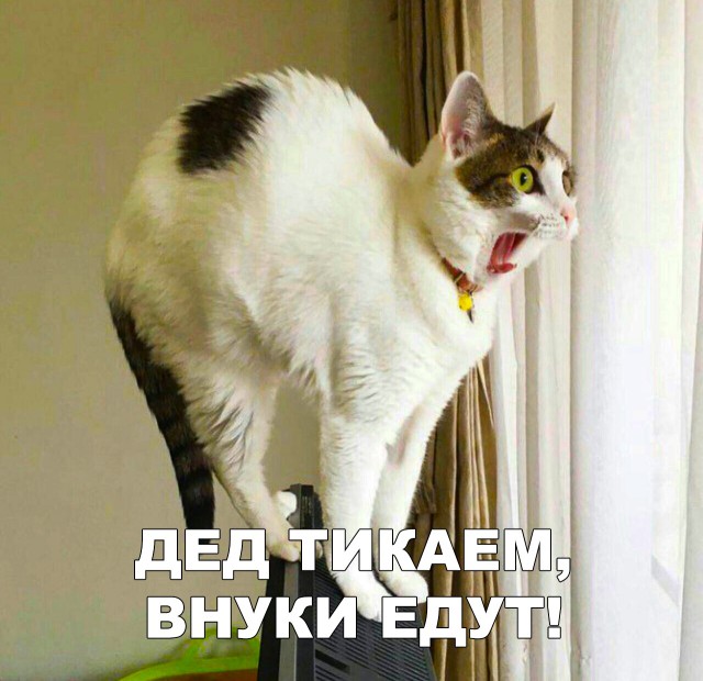 Нестандартный юмор
