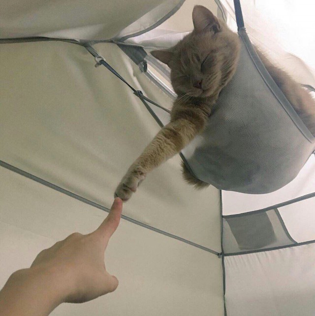 Немного милоты
