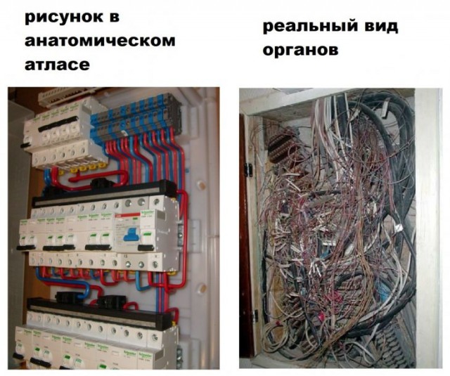 Немного картинок для настроения