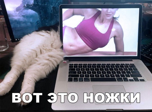 Нестандартный юмор