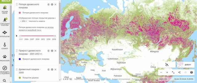 Карта потери древесного покрова России с 2001 по 2019 год