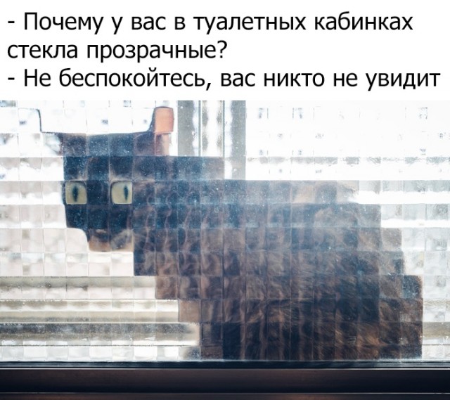 Немного картинок с надписями и без - 25