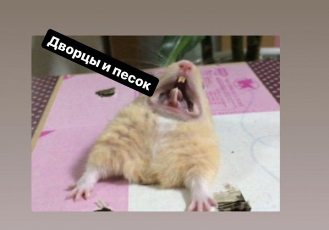Бредзона 23.04.20