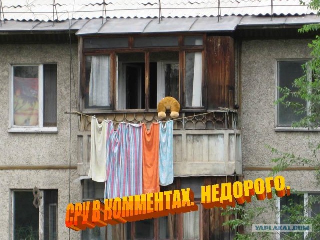 Конкурс: подпись к картинке