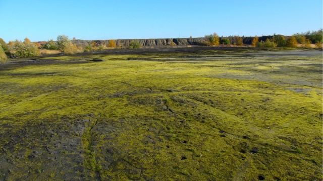 Где-то на Урале лес заменяет людям небо