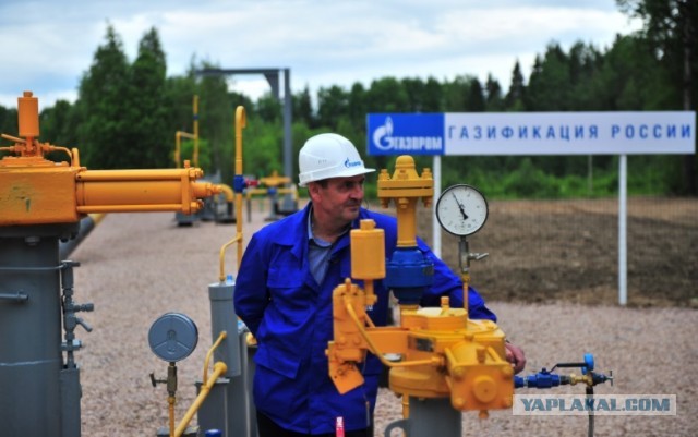 Путин заявил о неудовлетворенности уровнем газификации в РФ