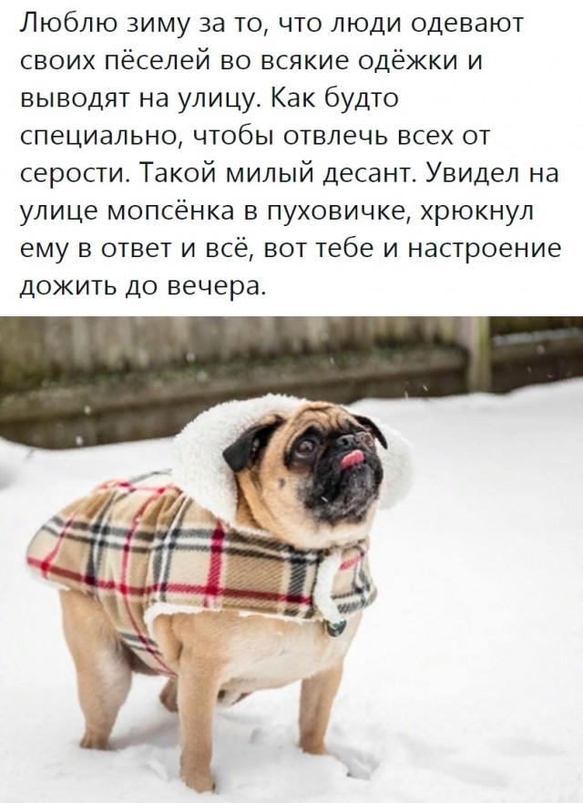 Кретинизмы из KV и KO 31.01.21