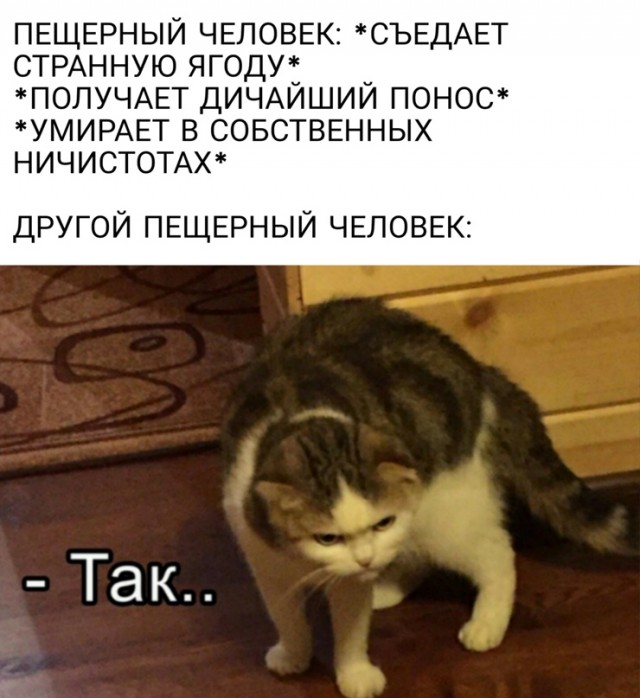 Весёлый полтишок 18.03
