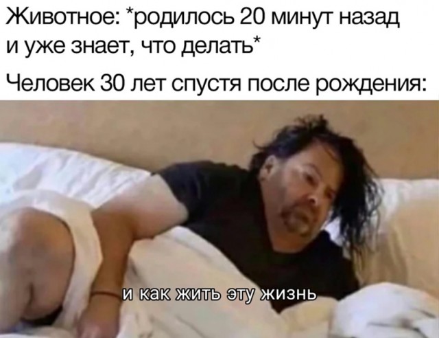 Весёлый полтишок 20.03
