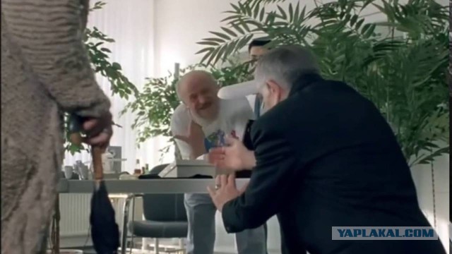 В Госдуме назвали политической спекуляцией использование термина «обнуление президентских сроков»