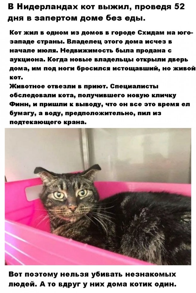 Картинки и мемы для настроения 001
