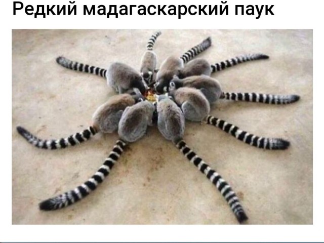 Бредзона 26.09.2021