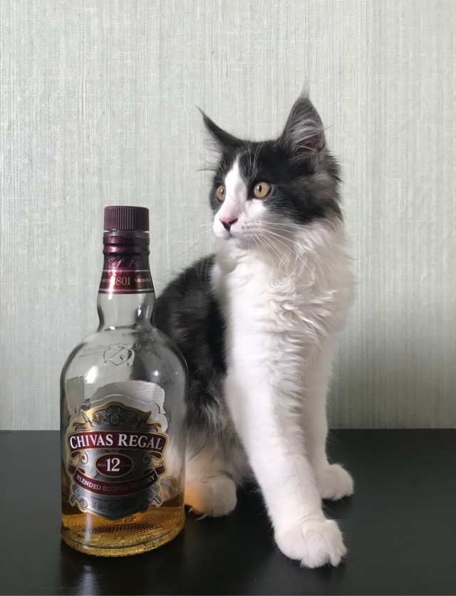 Взросление друга