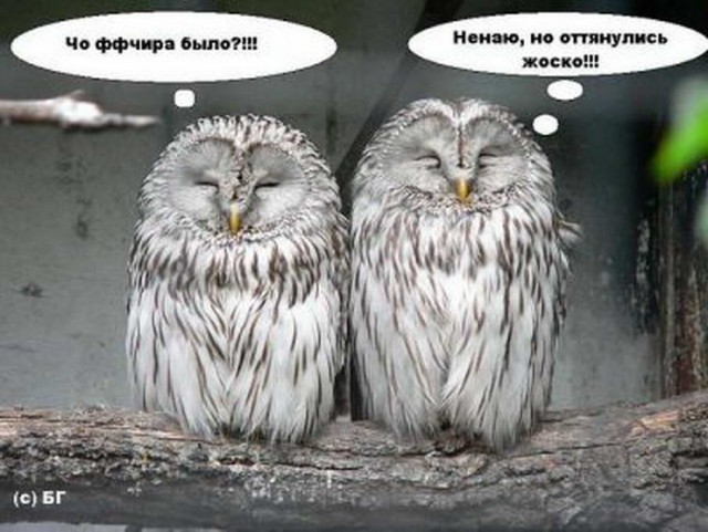 50 оттенков серого! Или самосвал баянов