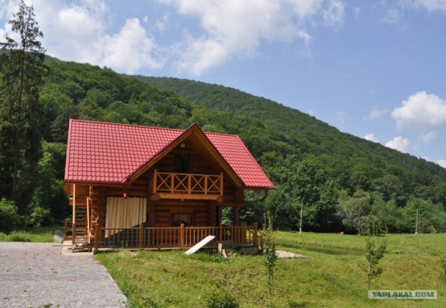 Карпаты 2011