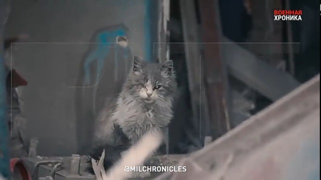 МистОр военный