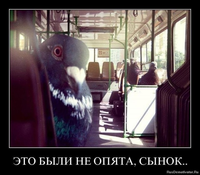 Я не псих?