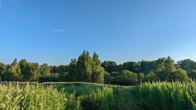 Разные хорошие картинки, местами даже атмосферно