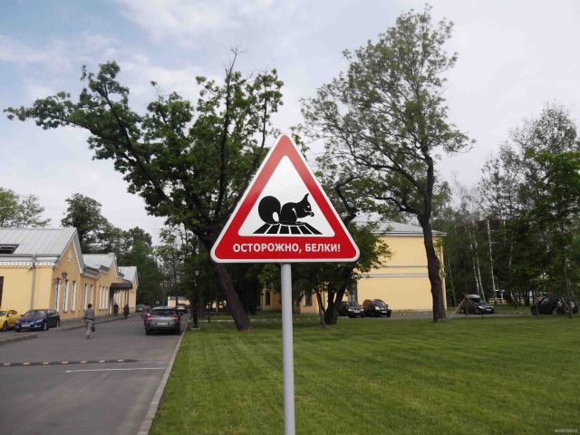 На территории бизнес центра…
