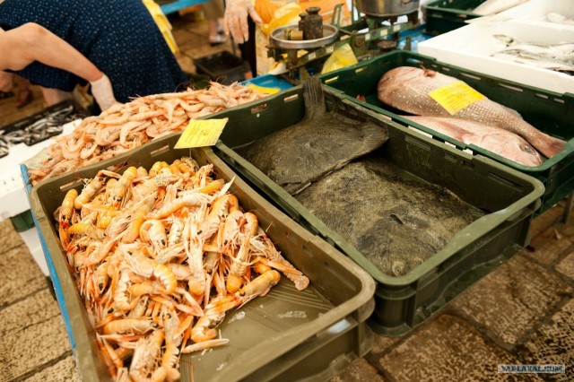 Поездка в Хорватию