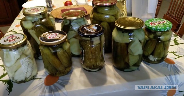 Как утилизировать кабачки правильно. Рецепт.