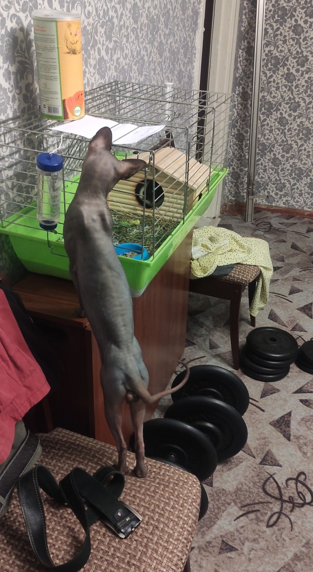 Просто фотки с телефона