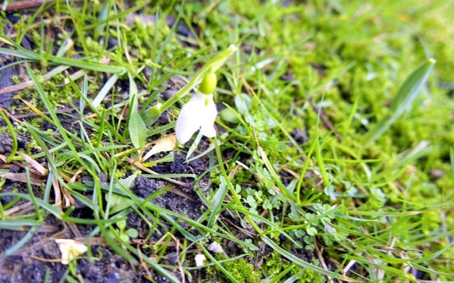 Автотур "Опять несет куда глаза глядятъ"