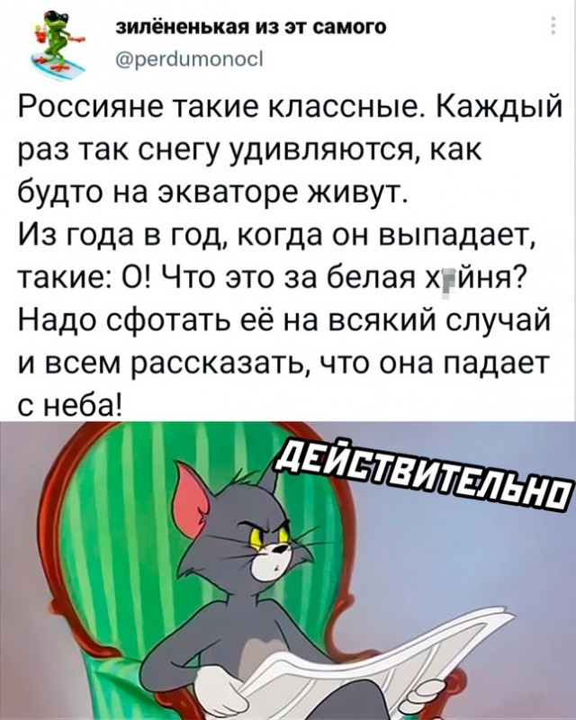 Весёлый полтишок 24.11.22