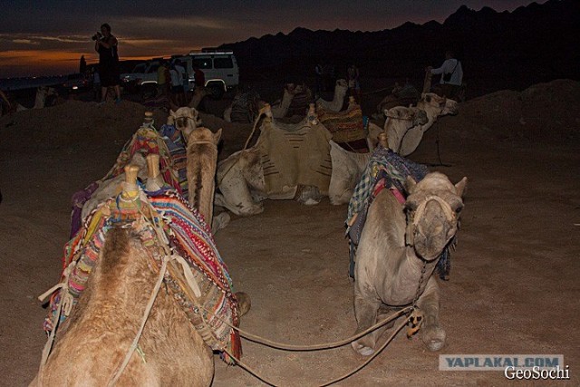 Синайские приключения. Шарм-эш-Шейх и окресности