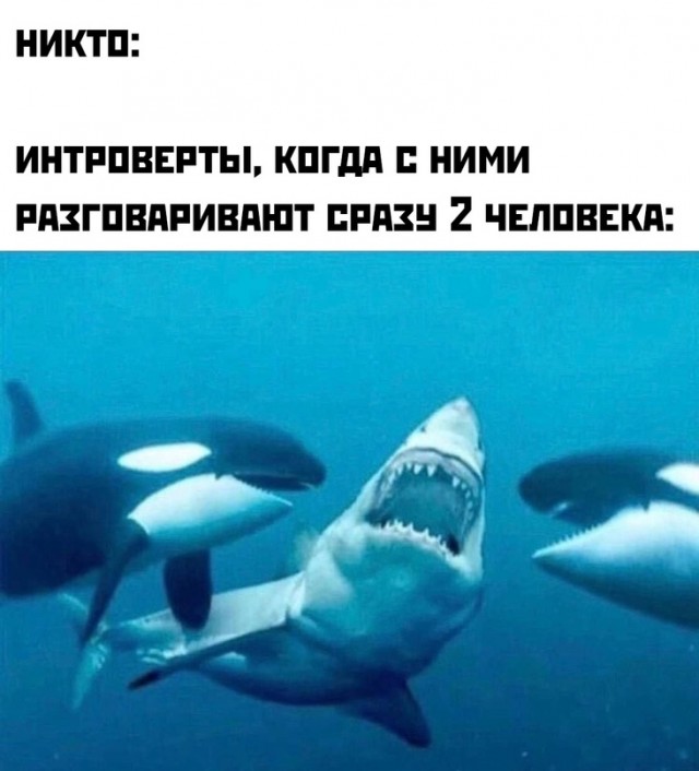 Картинки и мемы, всем хороших выходных