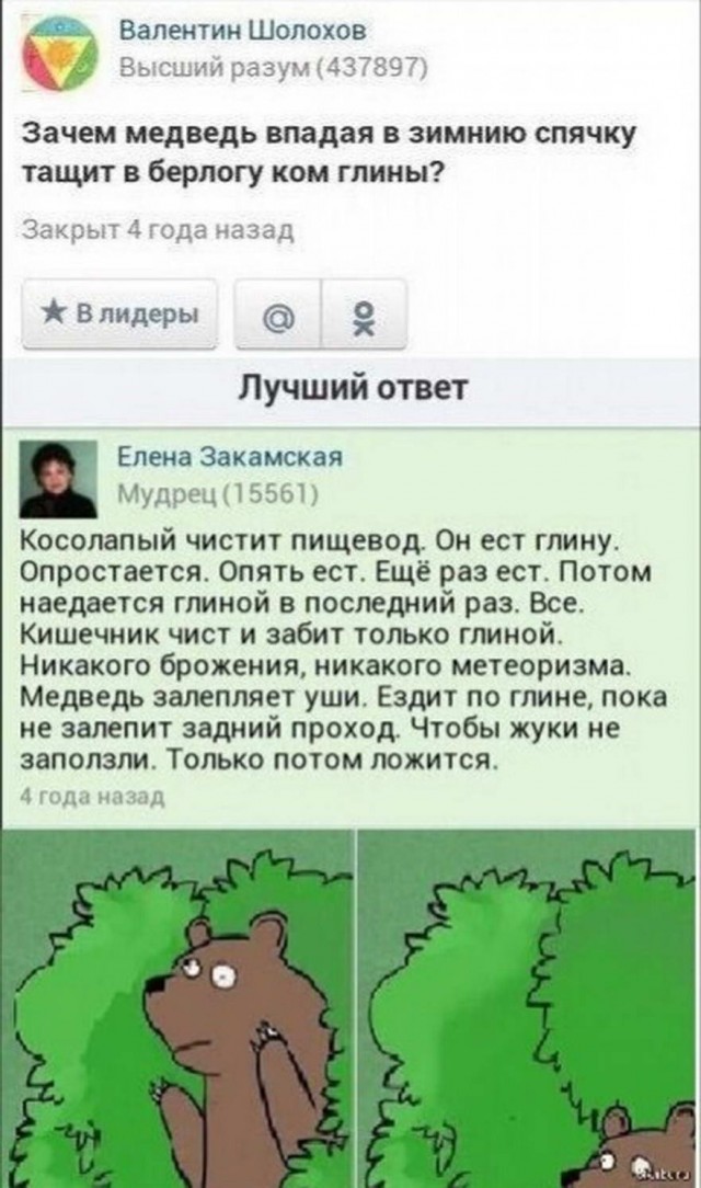 Картинки про всякое