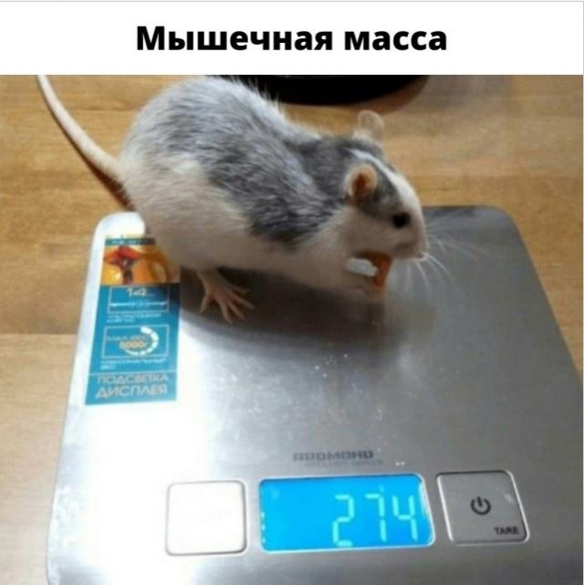 Так себе картинки 18.05.23