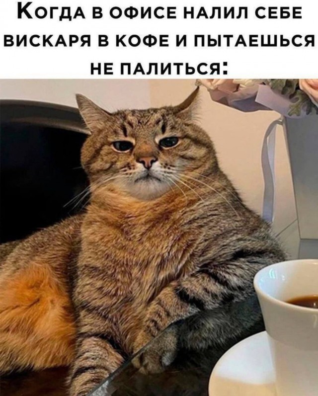 Победная поступь идиотизма по планете – том 15