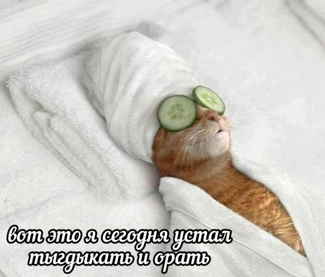 Всего понемногу. От 09.10.23