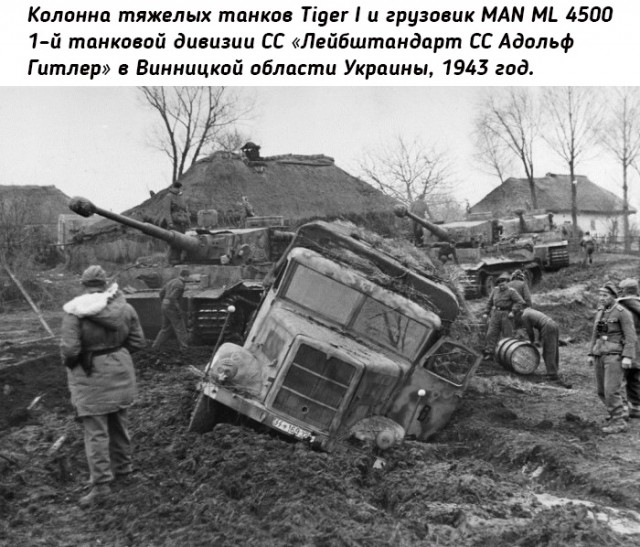 Небольшая подборка исторических фото (07.11)