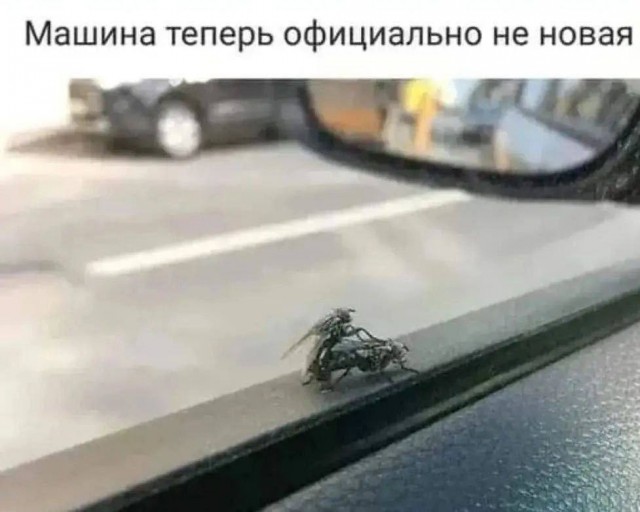 Всего понемногу. От 15.11.23