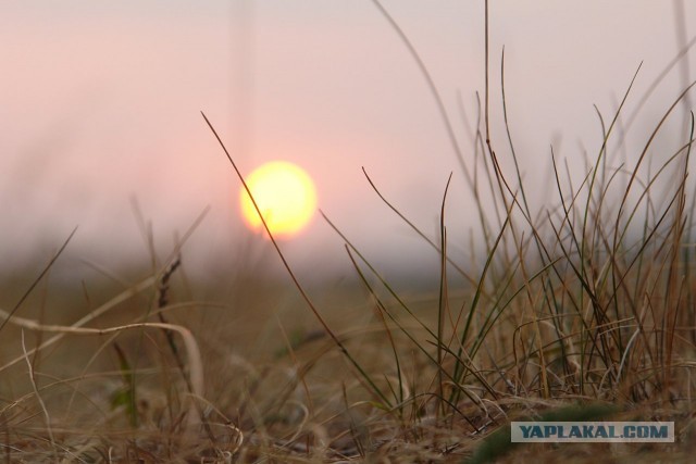 Почистил телефон