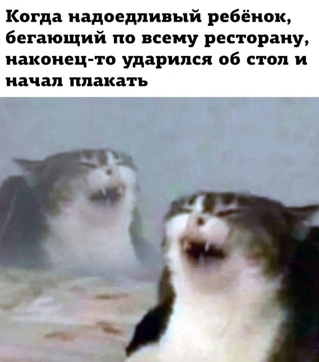 Всего понемногу. От 12.01