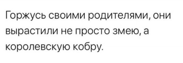 Всего понемногу. От 29.01.24