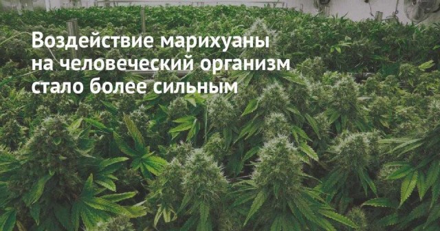 Прикольные и просто красивые картинки 22.02.2024