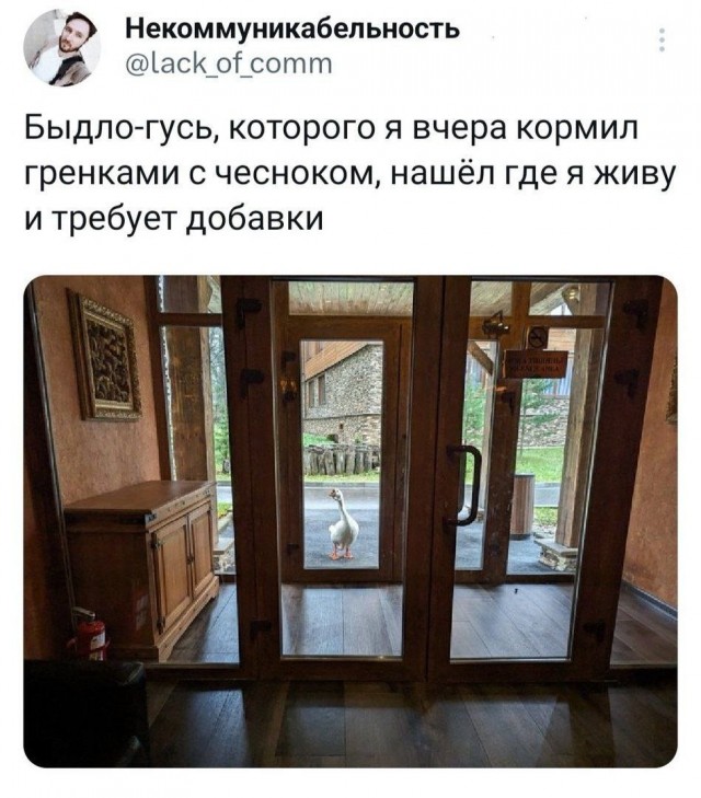 Завалялось тут случайно немного забавных картинок