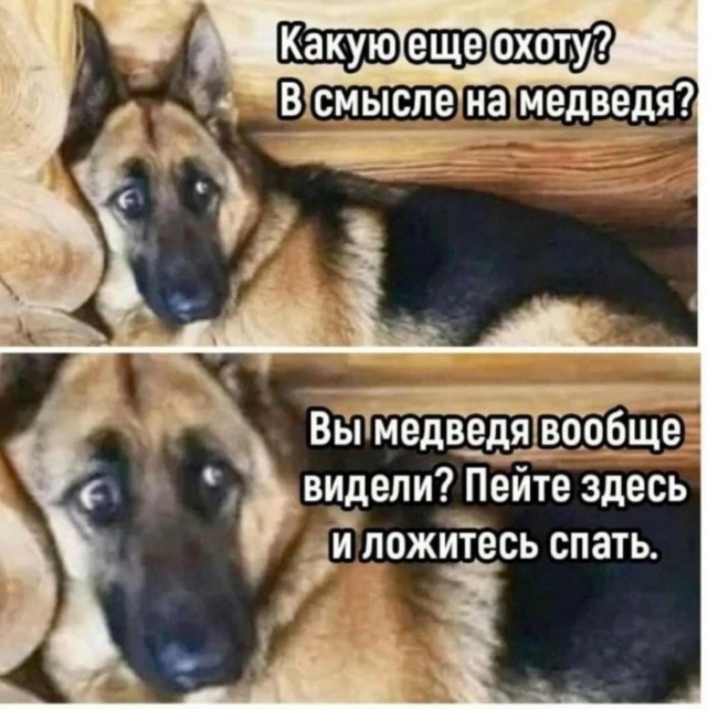 Мы с ЧуЧуНдРоЙ на рыбалке. Кострома
