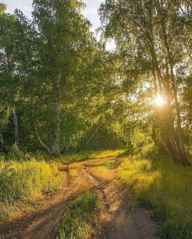 Скоро кончится лето. Это…