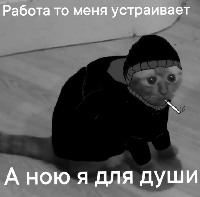 Весёлый полтишок 27.09.24