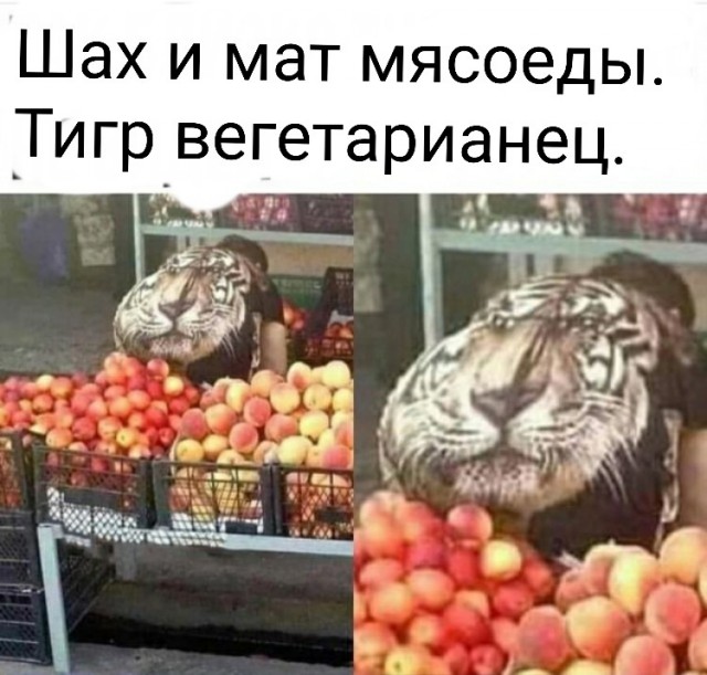 Посмеялся сам - поделись с другом!!!