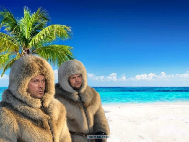 Тем временем в Гренландии