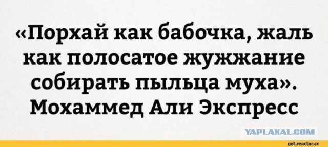Жёсткое мочилово