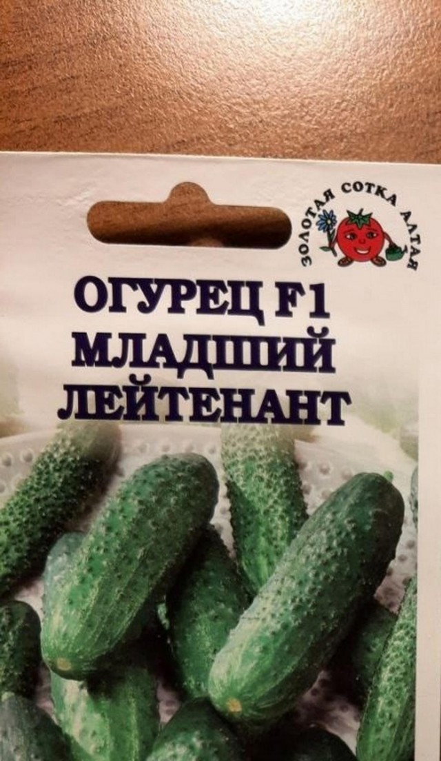 Всего понемногу. От 27.02.2025