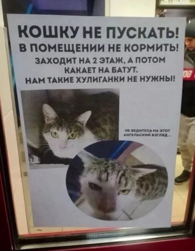Завалялось тут случайно немного забавных картинок