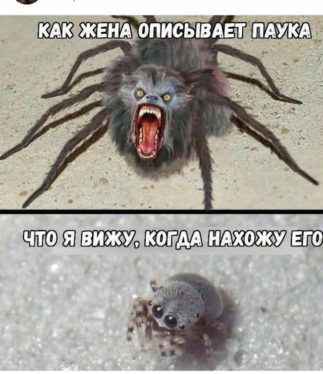 Так себе картинки 14.03.25